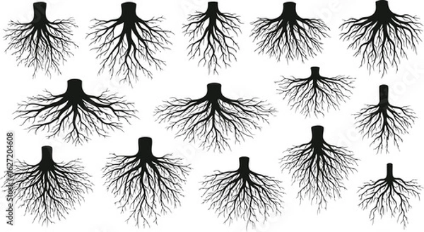 Obraz A Graphic Exploration of Tree Roots