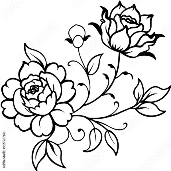 Obraz Elegant black and white line art illustration of blooming roses and leaves with delicate swirling vines and buds