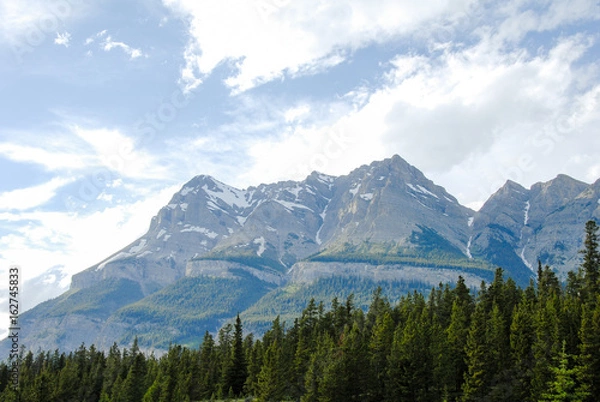 Fototapeta 春のカナディアン・ロッキー　バンフ国立公園　アイスフィールド・パークウェイ沿いの山並み（カナダ）