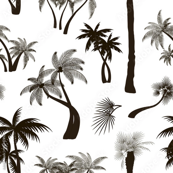 Fototapeta Palm collection pattern