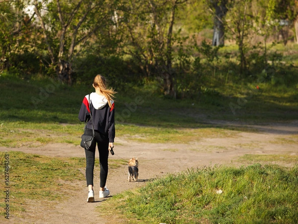 Fototapeta A young girl walks in the park with a dog. A sporty blonde walks a pet in nature. View of a beautiful girl from the back. Relax in the fresh air with your loved one. Friendship between children