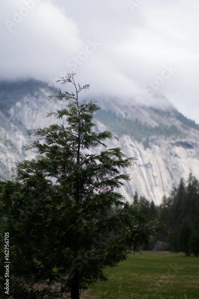 Fototapeta Yosemite view