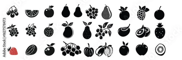 Fototapeta set of fruit and seed silhouettes for botany and organic design themes