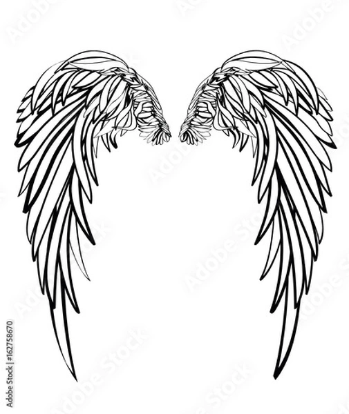 Obraz Wings. Vector illustration on white background. Black and white style 