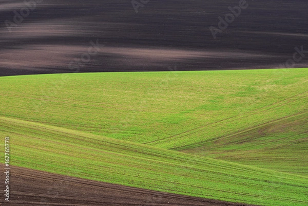 Fototapeta Abstract wavy fields on South Moravia