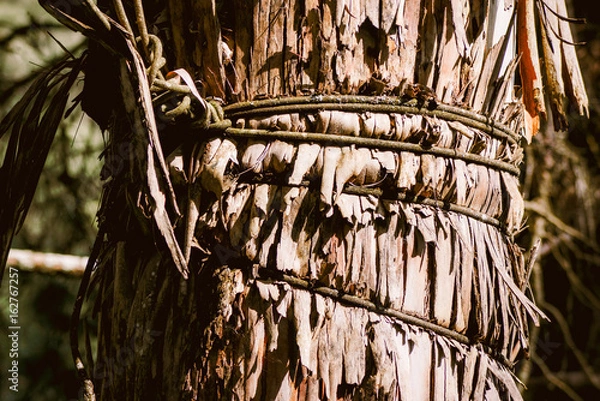 Obraz Hug in the tree