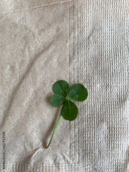 Fototapeta 네잎클로버
