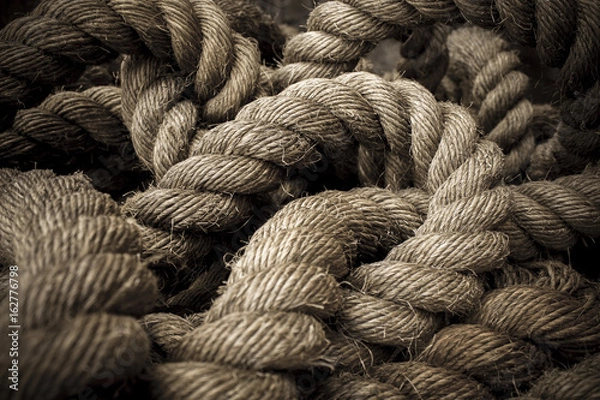 Obraz Pieniądze za starą linę