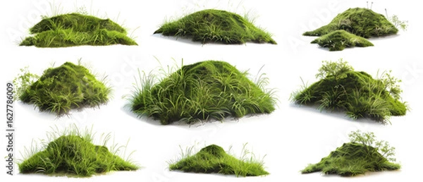 Obraz green grass isolated on white