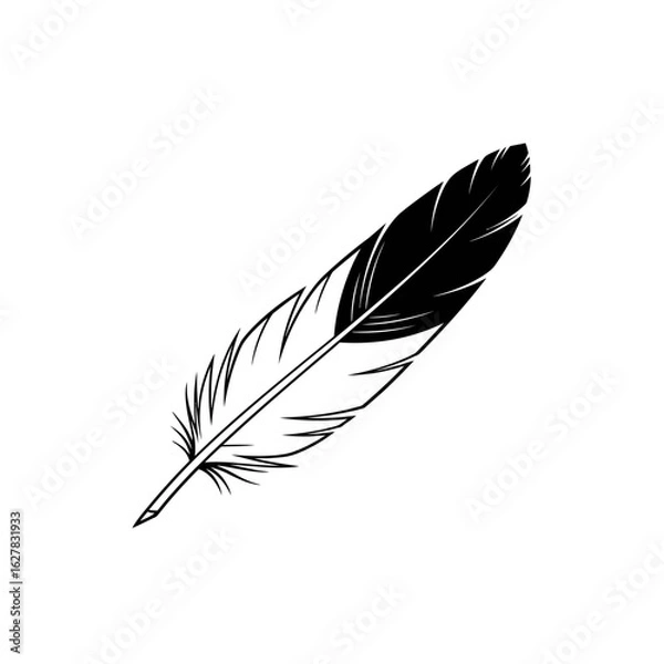 Fototapeta Illustration of a single black and white feather with detailed barbs design