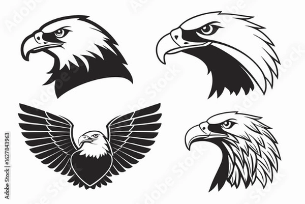 Fototapeta set of eagle