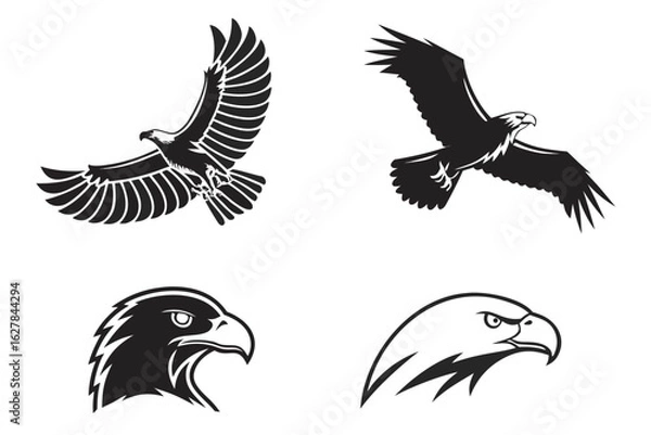 Fototapeta eagle vector illustration