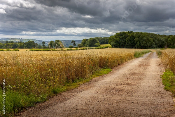 Obraz country road track through the fields