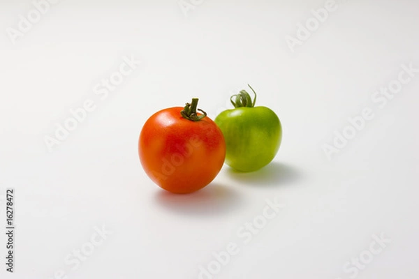 Fototapeta トマト