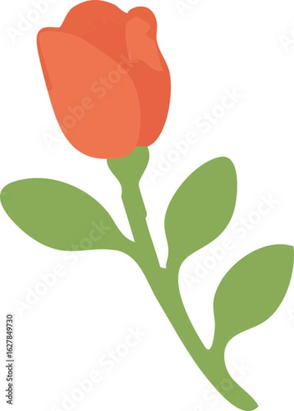 Fototapeta Single Rose Flower Illustration, Isolated Background. Warm and Sentimental Spring Floral Design