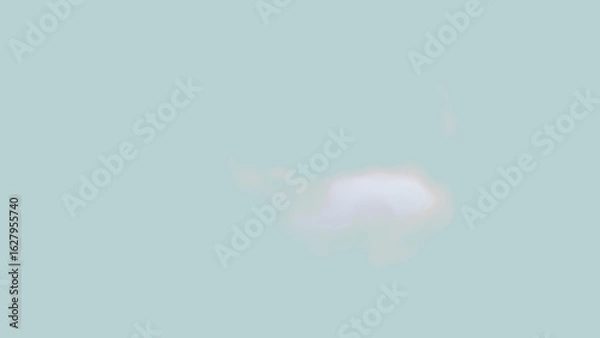 Fototapeta Abstract background. A worn-out, old, perforated, white, zinc basin left in a backyard. Gradient blur. Nature, fungus, forest, autumn, grass, food, green, white, plant, moss, hat, woods, edible, macro