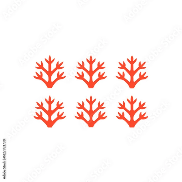 Obraz  different coral display rack set   