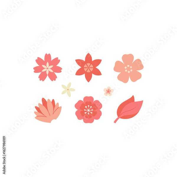 Obraz different spring coral bloom set   