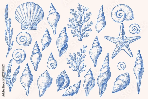 Obraz Vintage hand-drawn sea shells, starfish, coral and seaweed collection in blue sketch style for beach, ocean, marine life, summer decoration, coastal design, and nautical themed illustrations

