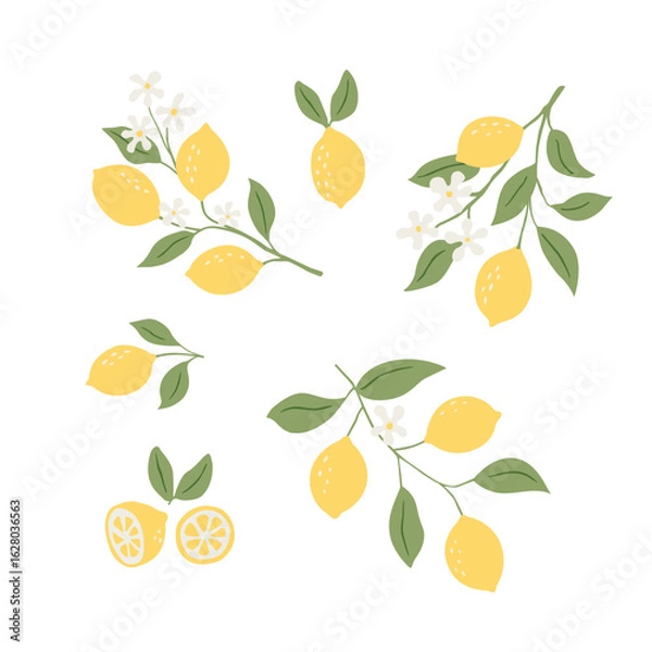 Fototapeta Illustrations of lemons. Hand painted ripe lemon branches with green leaves