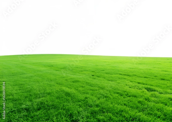 Fototapeta Lush green field on a transparent background. PNG
