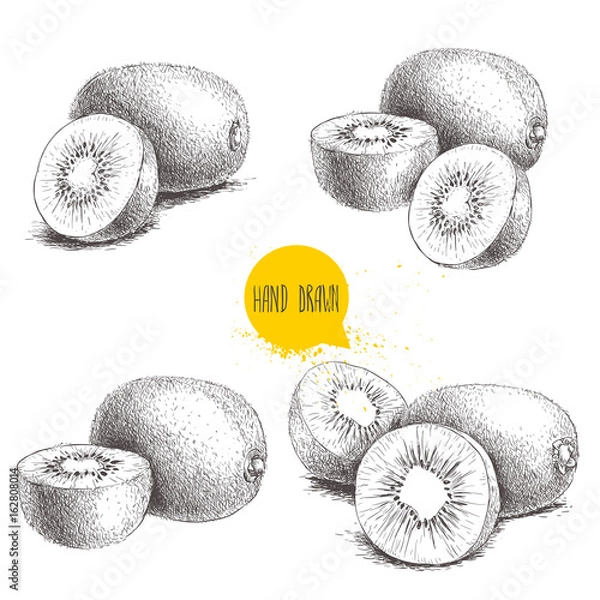 Obraz Ręcznie rysowane zestaw ilustracji wektorowych owoców kiwi. Styl szkic wektor wzór na białym tle. Owoce tropikalne.
