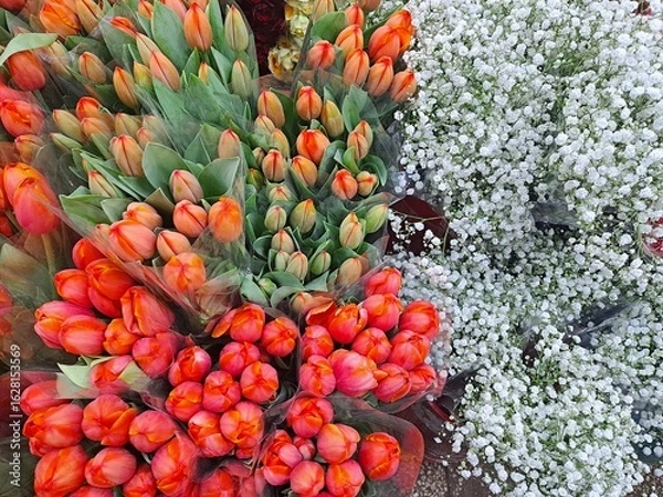 Fototapeta Beautiful red tulips and fresh Baby's breath flowers at the South Korea's flower market