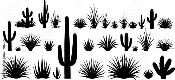 Obraz Cactus and Desert Plant Silhouettes Collection
