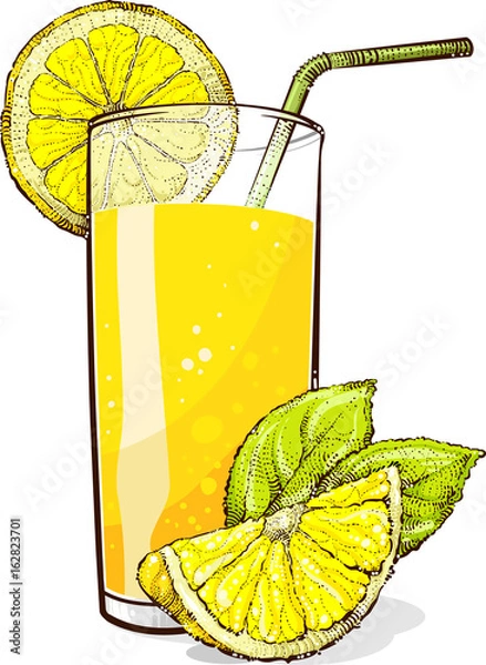 Obraz A glass of lemonade with pieces of lemon. Vector drawing.