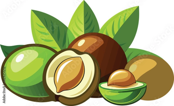 Fototapeta This collection of black and white images depicts  illustrations of macadamia nuts, often shown both in and out of their shells.