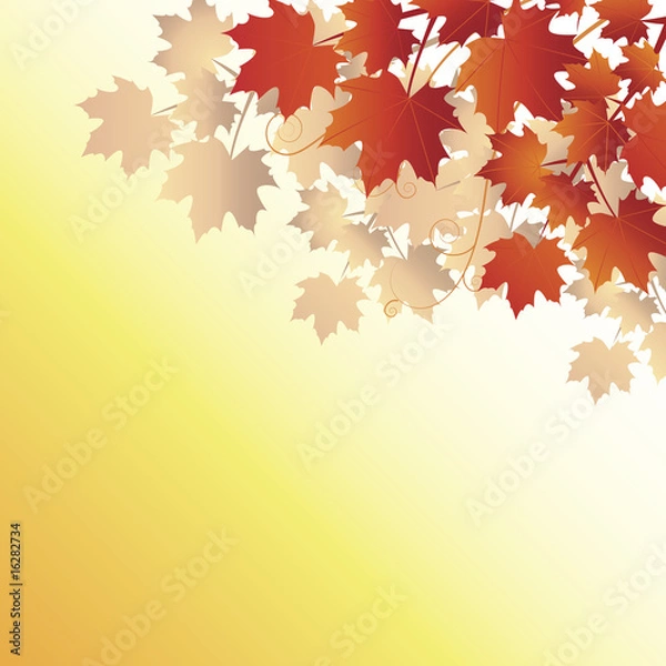 Obraz Fall leaves on orange background