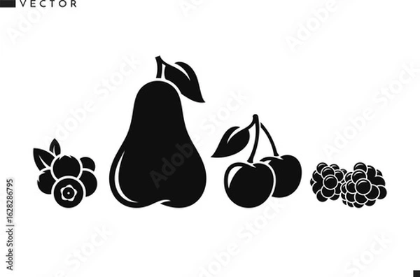 Obraz Fruit vector. Isolated pear cherry raspberry and blueberry 