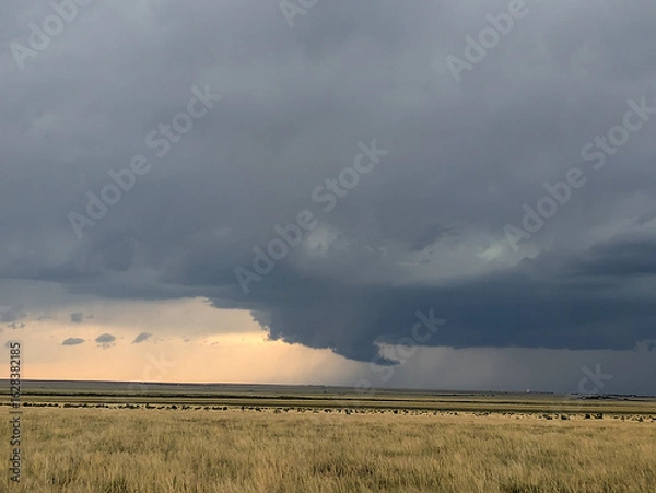 Obraz Wall cloud hangs off a tornado-warned thunderstorm.