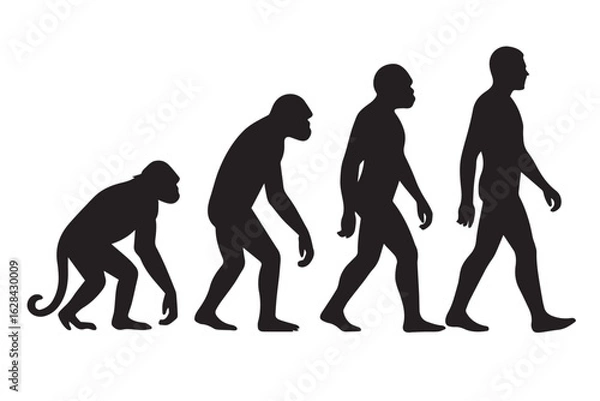 Obraz The Process of Human Evolution Silhouette