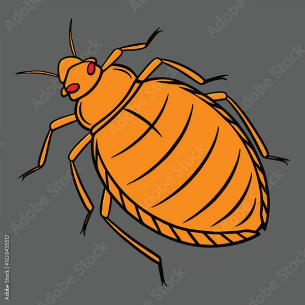 Fototapeta Bedbug vector