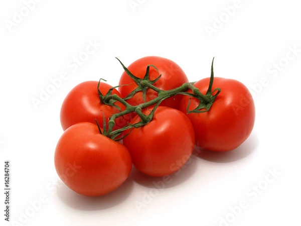 Obraz Red Tomatoes