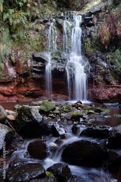 Fototapeta White stream of water flows as waterfall over the overgrown, colorful face of the rock, covered by lush tropical vegetation. After splashing into a pond, it flows on in the riverbed.