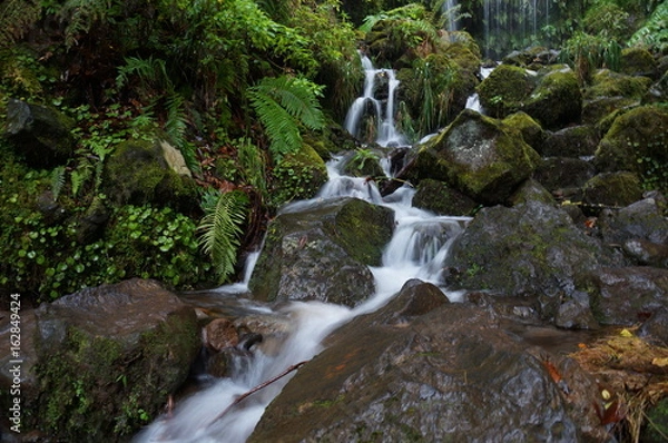 Fototapeta Narrow white stream of water flows between wet stones and lush tropical vegetation. The water running down in several little trickles.