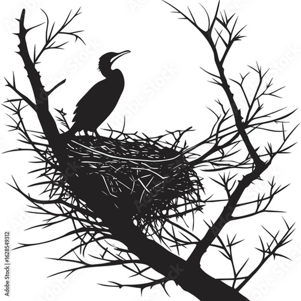 Obraz Isolated Black Silhouette of Bird Nest