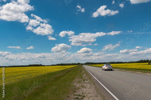 Fototapeta Motorway behind which the blue sky with clouds over the field with yellow flowers