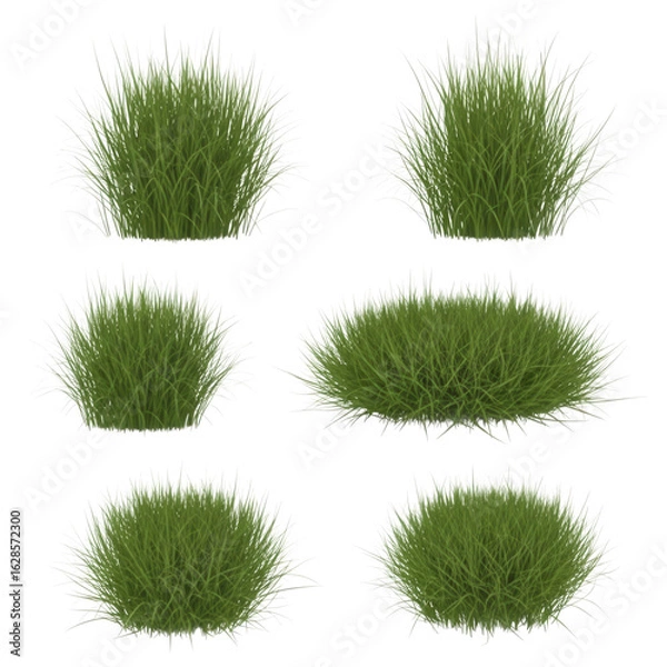 Fototapeta Collection of five realistic green grass tuft clumps isolated on transparent background