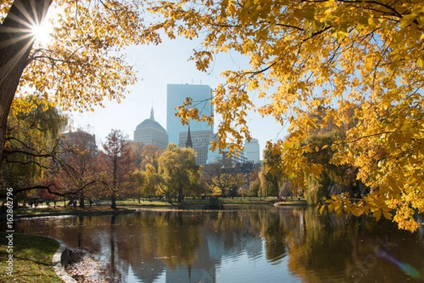 Obraz Boston Common Autumn Day