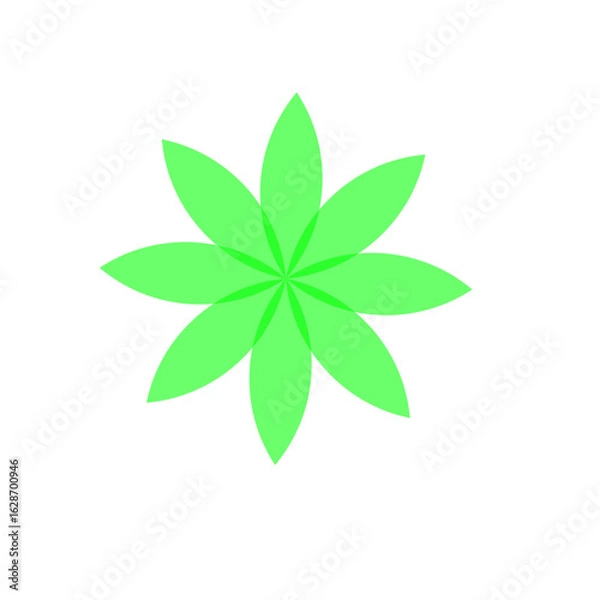Obraz green leaves vector