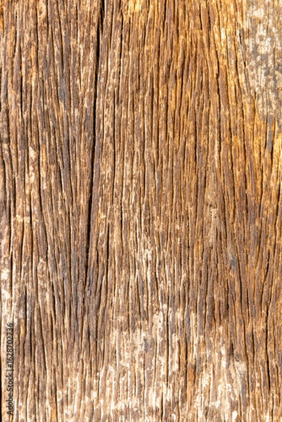 Obraz Old wooden texture