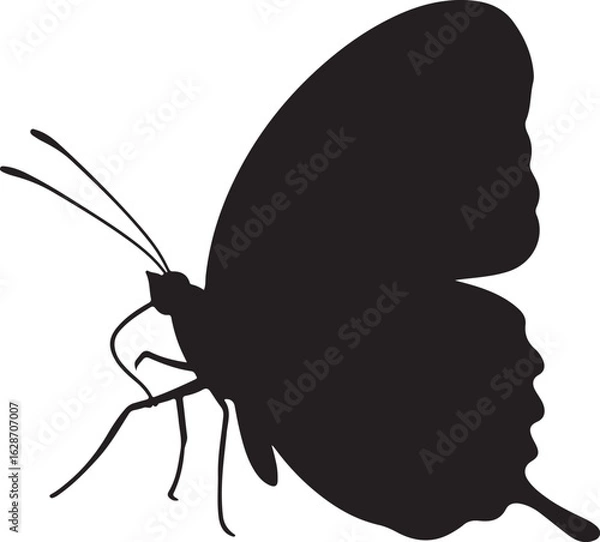 Obraz Juno Butterfly Vector Silhouette