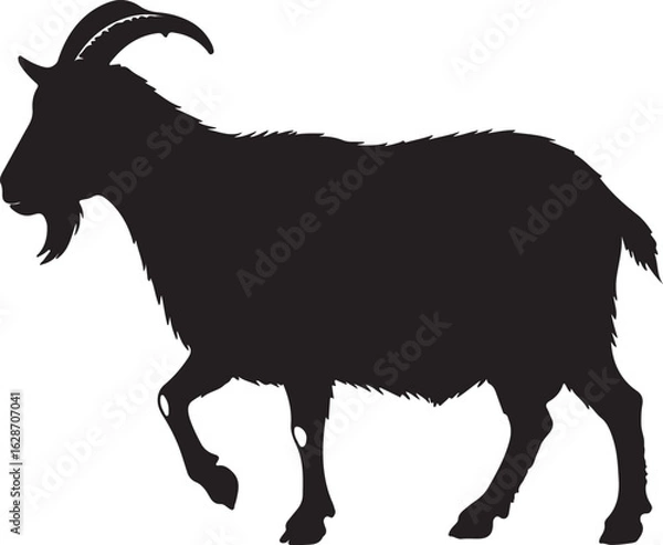 Obraz Kiko Goat Vector Silhouette