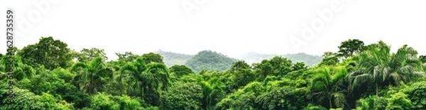 Obraz The horizon features an isolated lush green forest of wide proportions, where the edge is marked by a combination of deciduous and coniferous trees, where the background remains entirely natural