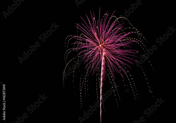 Fototapeta Pink Fireworks