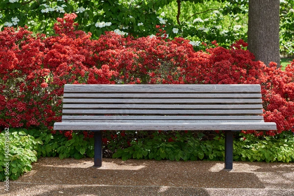 Fototapeta bench in the park with red flower