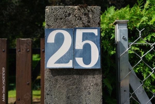 Obraz House number 25